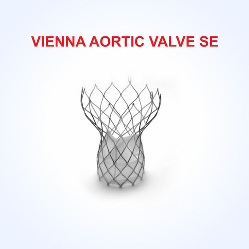 Vienna Aortic Valve SE Transcatheter Aortic Valve