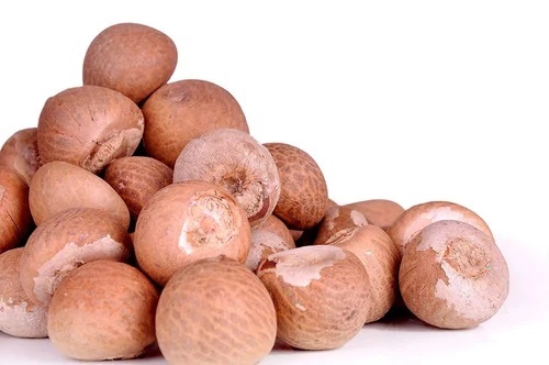  Natural Sun Dried Areca Betel Nuts