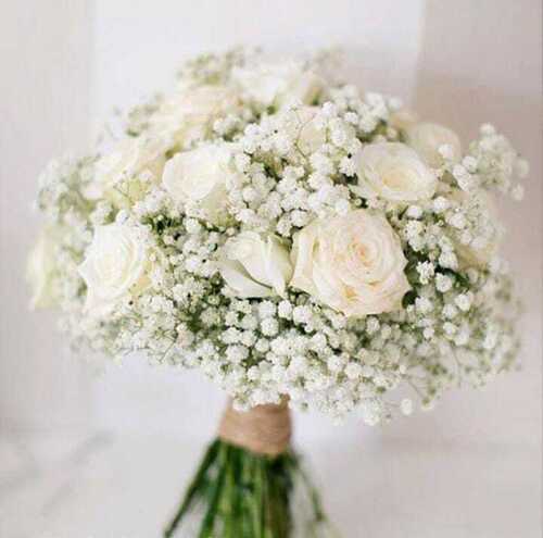 Fresh White Rose Flower Bouquet