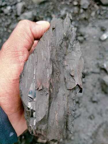 Bituminous Coal