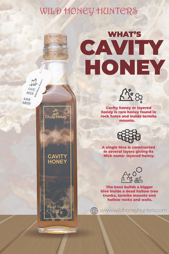 Cavity Honey - The Highly Medicinal Forest Honey Online