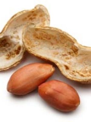 Gluten Free Dried Groundnut Shell