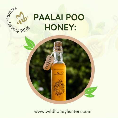 The Paalai poo honey - The Forest honey online