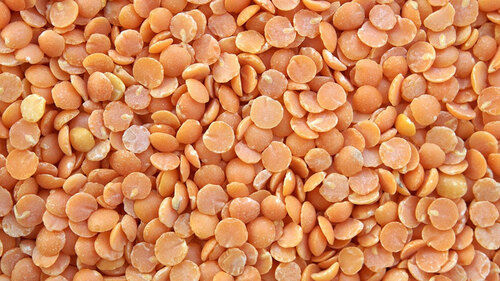 masoor dal