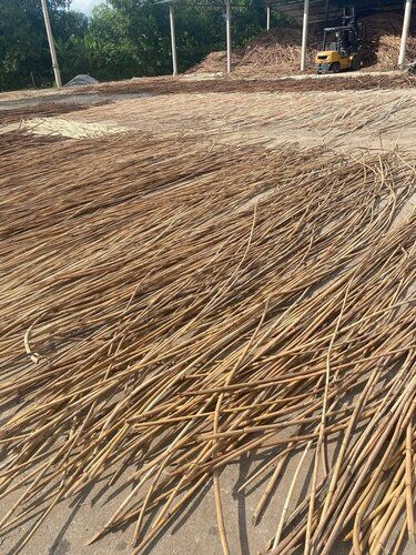 Rattan Pole/Rattan Canne High Quality From Vietnam