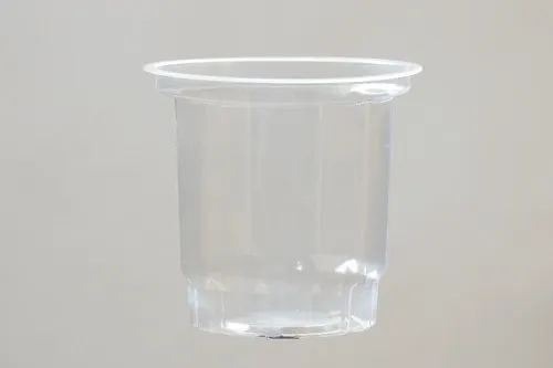 Disposable Glass