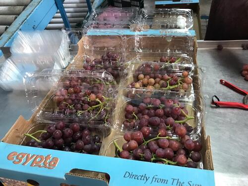 Fresh Grapes