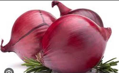 Red Onion