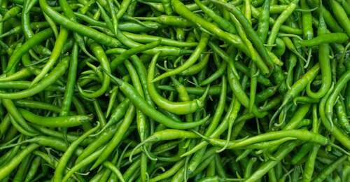 Green chilli