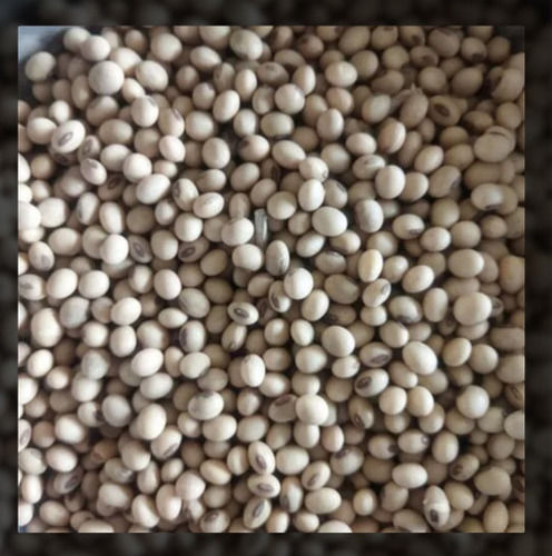 Organic Soybean Seeds