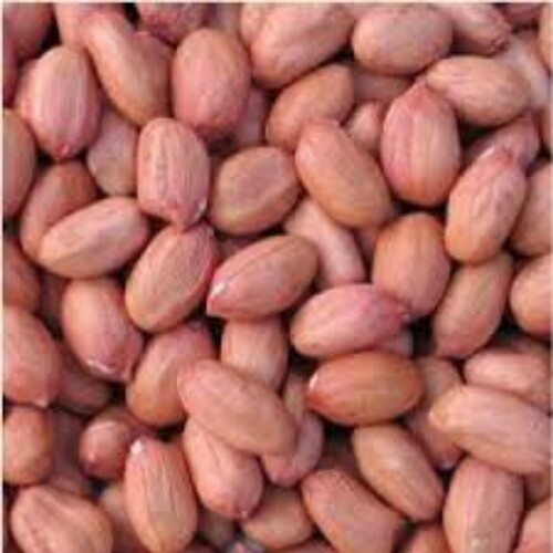 peanut.................................
