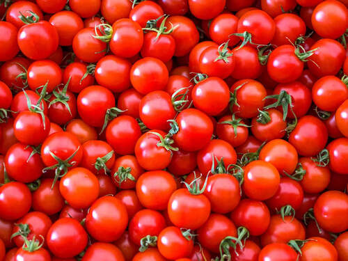 Red Tomato 