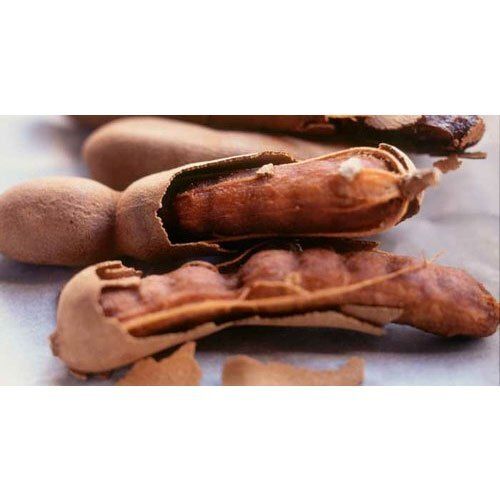 Fresh Tamarind