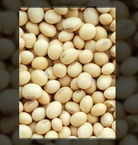 Cooking Use Dried Soybean Seeds