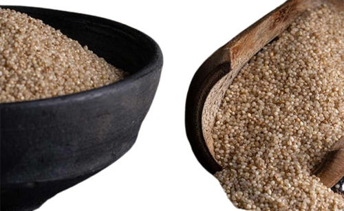 100% Pure Foxtail Millet (Kangni)