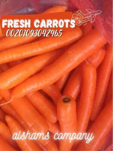 Fresh Carrots (best quality )