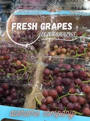 fresh_grapes(best quality)