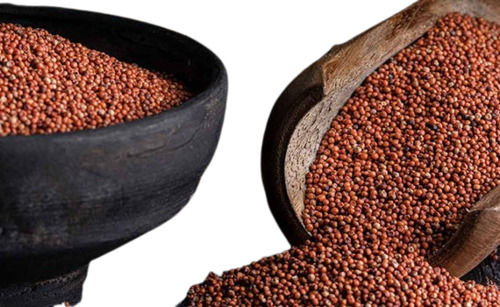 100% Pure Brown Ragi Grain