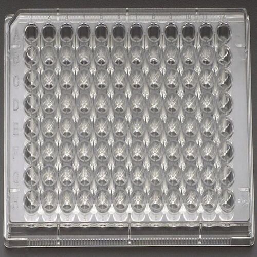 Transparent Cell Culture Plate 96 Well