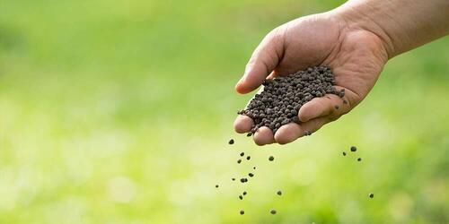 Agriculture Fertilizers Granules