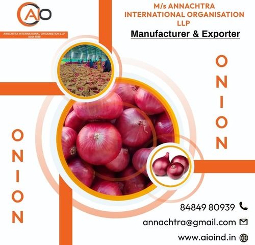  Red Onion - ANNACHTRA INTERNATIONAL ORGANISATION 