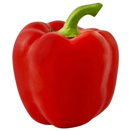 Red Capsicum