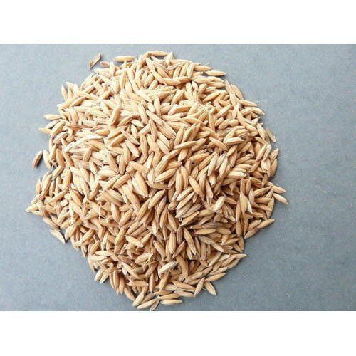 Agriculture Hybrid Paddy Seeds