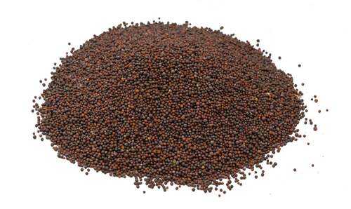 Mustard Seedsorganic Mustard Seeds