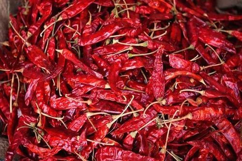 red chilli 