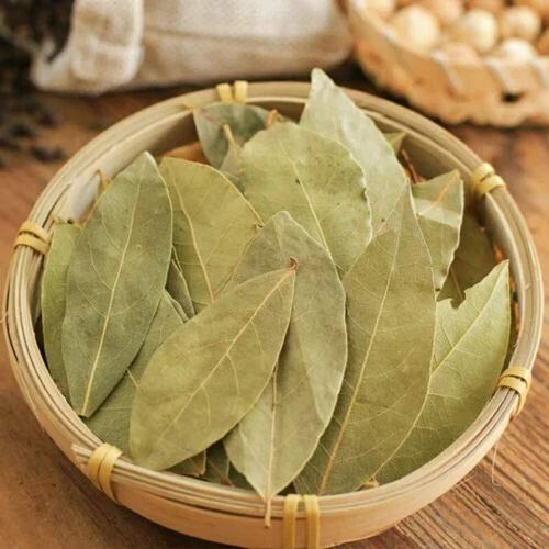 Dried Green Tej Patta Bay Leaf - Plastic Bag, 12 Months Shelf Life | Green Color, Ideal for Authentic Spice Applications