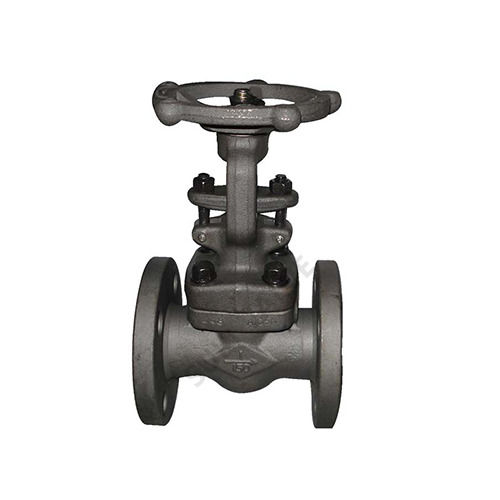 Forged Steel Gate Valve