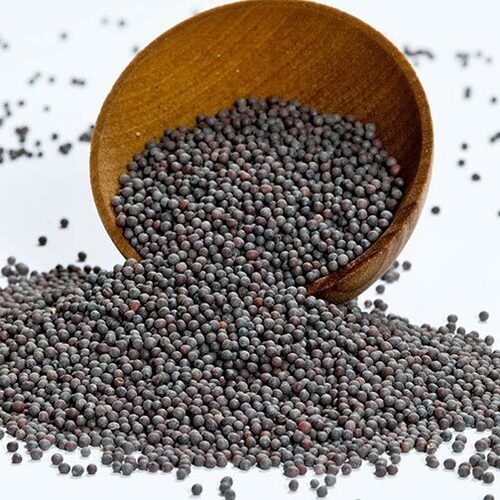 Mustard Seeds - 100% Pure Black Sarson, Machine Dried Spice Seeds for Joint Pain Relief