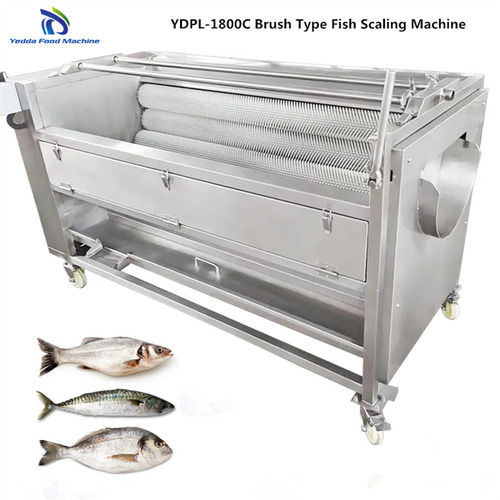 Ydpl-1800 Automatic Brush Type Fish Scale Removing Machine Capacity: 1000-1500 Kg/Hr