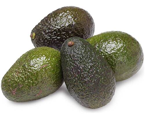 Avocado