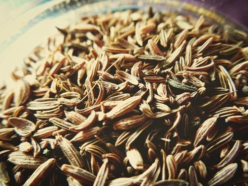 Caraway Seeds Jeera