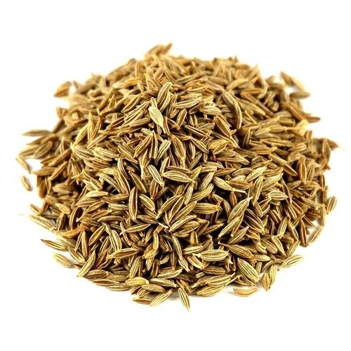 Cumin Seeds - Sortexed, Moisture 7-8%, pH 6.5-7, Purity Up to 99.95%, Whole Brown Dried Spice