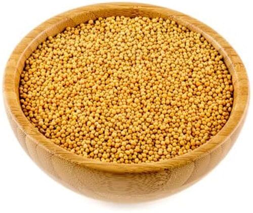 Yellow Mustard Seeds