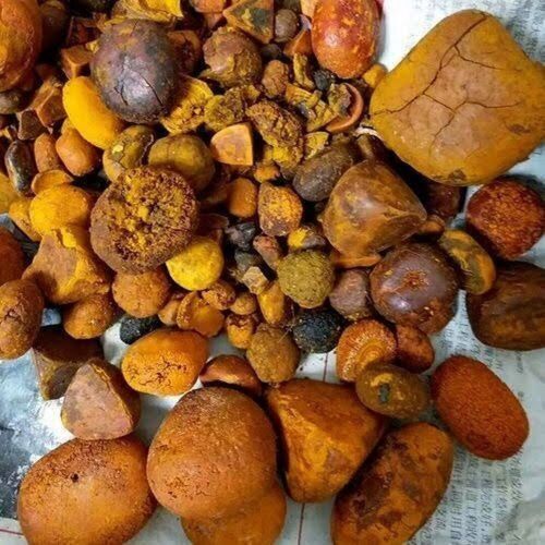 Yellow 100% Natural Top Quality Ox Gallstones