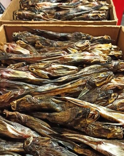 Dry Stock Fish Head