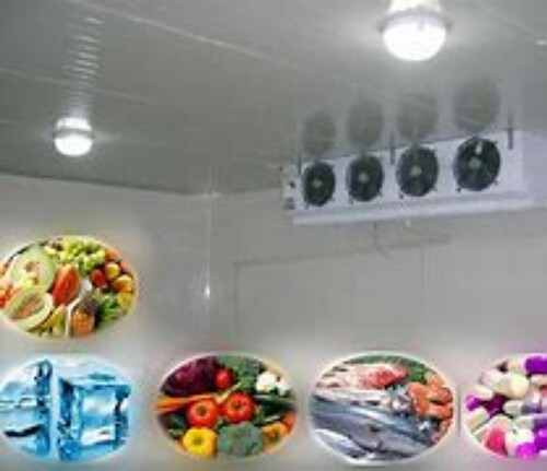 2 TON VEGETABLE COLD ROOM