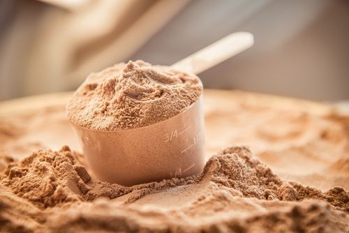 Wellness Diabetic Protein Powder Chocolate Flavour