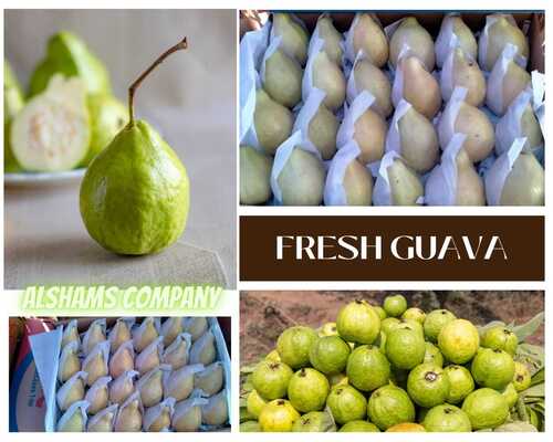 Fresh Guava