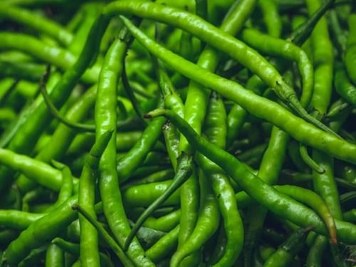 Organic Fresh Green Chilli