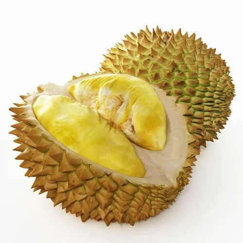 Fresh Durian Fruit