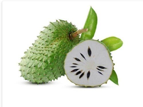 Fresh Soursop Fruit