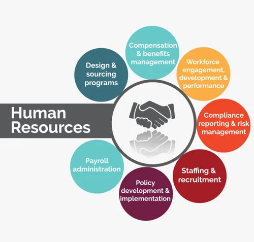 Human Resource Management Software Service