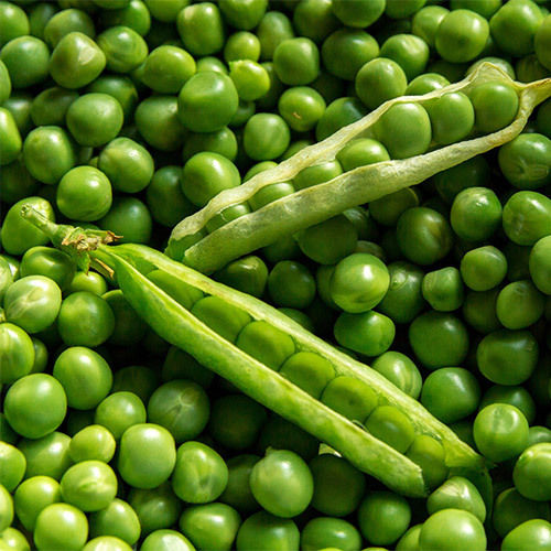 Green Peas