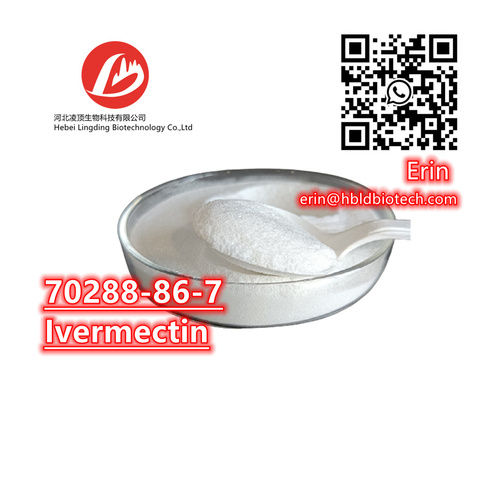 Veterinary Medicine Ivermectin CAS: 70288-86-7 Antiparasitic Drug