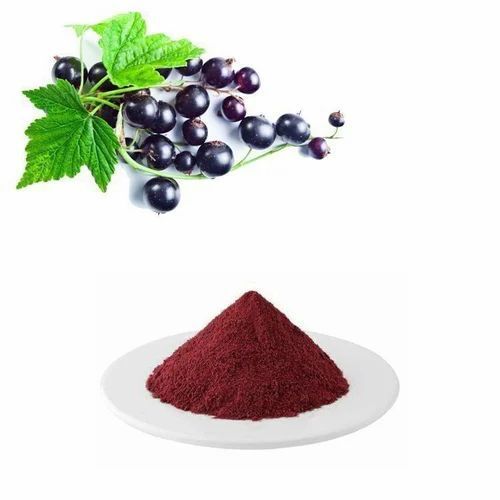 Black Currant Powder