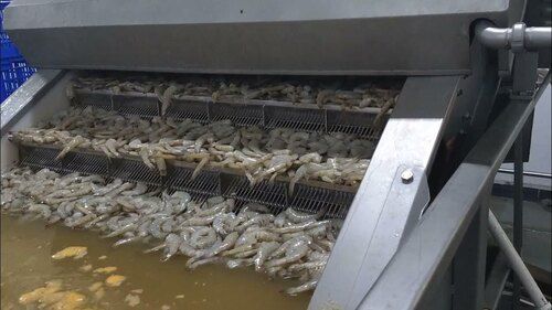 Shrimp Washer